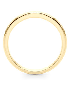 Alternative view of Josephine Band