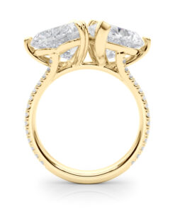 BA213 PATRICK TWO STONE RING.side.alt