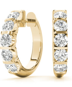 Classic Hoops Earrings