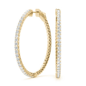 Alicia Hoop Earrings