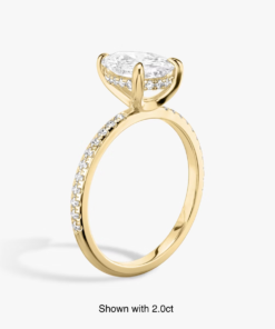 Signature hidden halo side featured