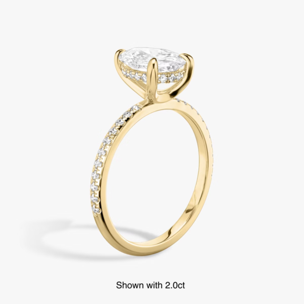 Signature hidden halo side featured